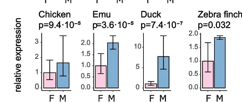 Open access visualization of Bar Plot, Error Bars, Clustered, qPCR, RPS6