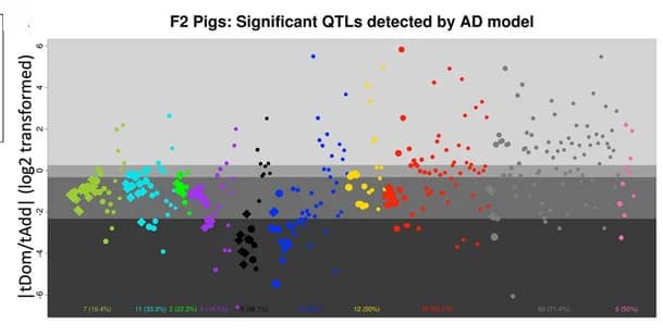 Open access visualization of Scatter Plot, Volcano Plot, QTL, AD Model, F2 pigs