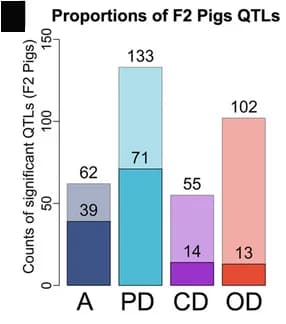 Open access visualization of Stacked Bar Plot, Bar plots, Additive QTLs, Partial-Dominant QTLs, Dominant QTLs