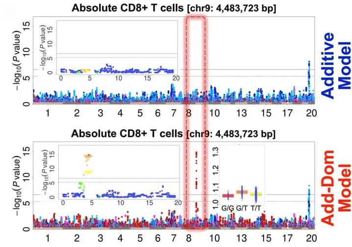 Open access visualization of Manhattan Plot, Scatter Plot, Box Plot, Absolute CD8 + T Cells, HS Rats