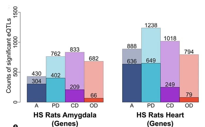 Open access visualization of Clustered, Bar Plot, eQTLs, Additive, Partial Dominant