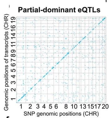 Open access visualization of Scatter Plot, Bubble Plot, eQTL, Isoform, Dominance