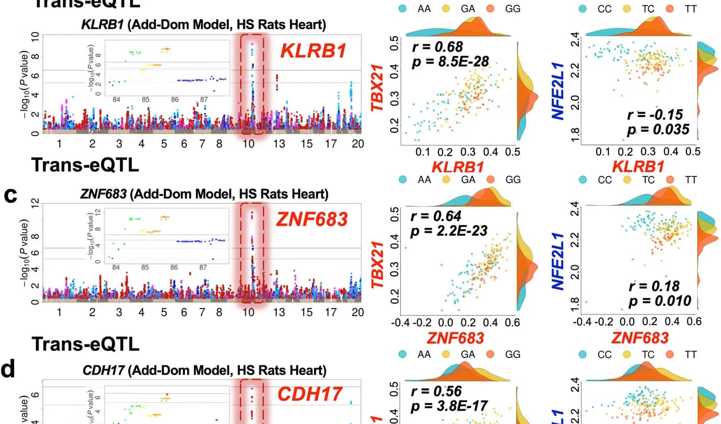 Open access visualization of Manhattan Plot, Scatter Plot, Density Plot, Manhattan Plots, Genes