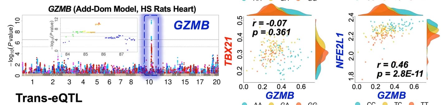 Open access visualization of Manhattan Plot, Scatter Plot, Density Plot, Manhattan plots, Genes