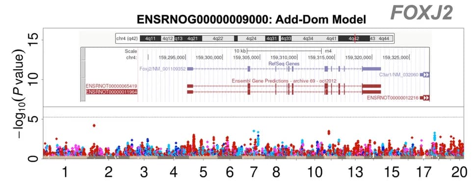 Open access visualization of Locuszoom Plot, Scatter Plot, Manhattan Plots, Gene Expression, Amygdala