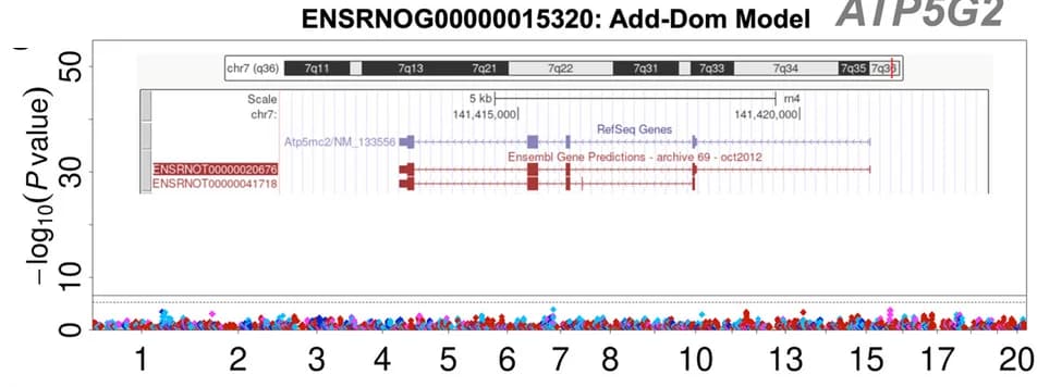 Open access visualization of Manhattan Plot, Manhattan Plots, Gene Expression, Amygdala, eQTLs