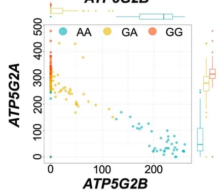 Open access visualization of Scatter Plot, Box Plot, Manhattan Plots, Isoforms, Gene Expression