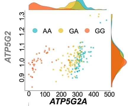 Open access visualization of Scatter Plot, Density Plot, Scatter Plots, Expression Levels, Correlations