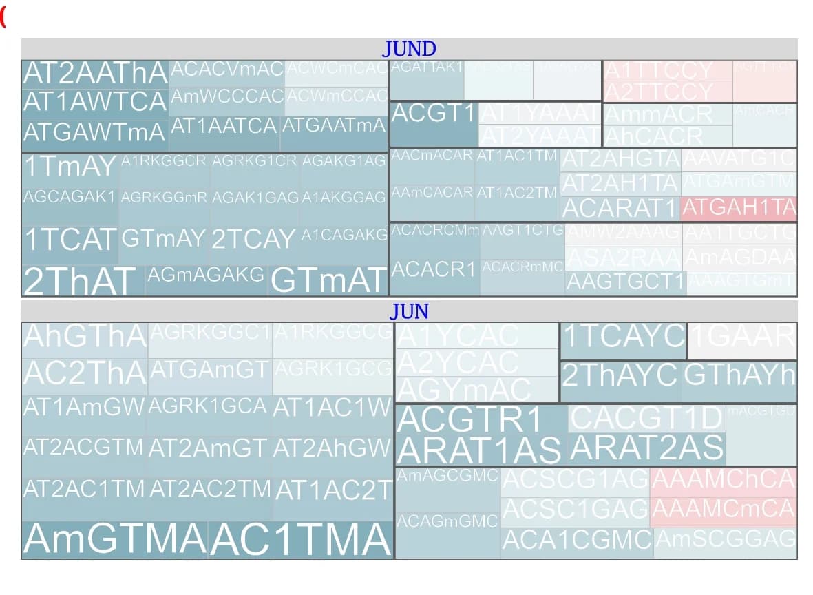 Open access visualization of Heatmap, JUND, JUN