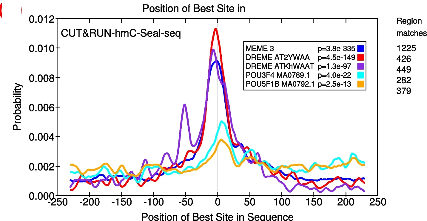 Open access visualization of Line Plot, Density Plot, hmC-Seal, CUT&RUN, MEME Motif