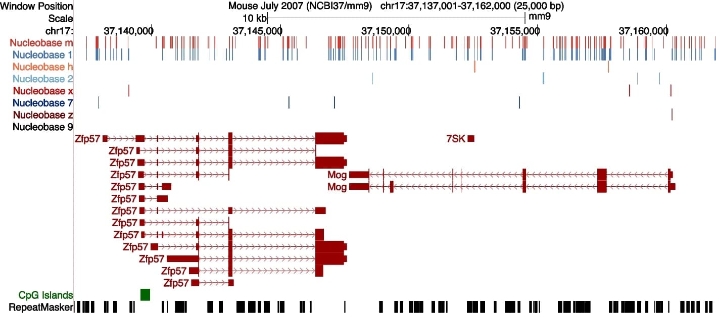 Open access visualization of Bar Plot, Line Plot, Cytosine Modification, Naive Mouse T Cells, UCSC Genome Browser