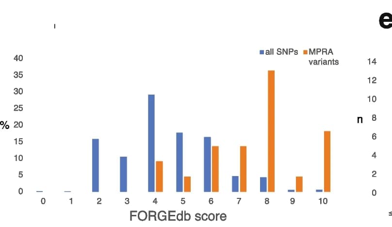 Open access visualization of Clustered, Bar Plot, FORGEdb Score, MPRA Variants, SNPs