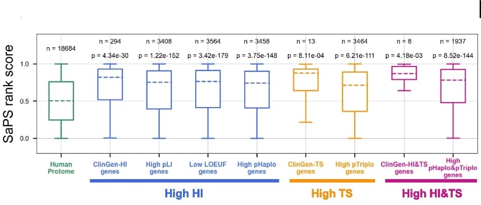 Open access visualization of Box Plot, SaPS Rank Score, Human Proteome, Gene Sets, Dosage Sensitivity