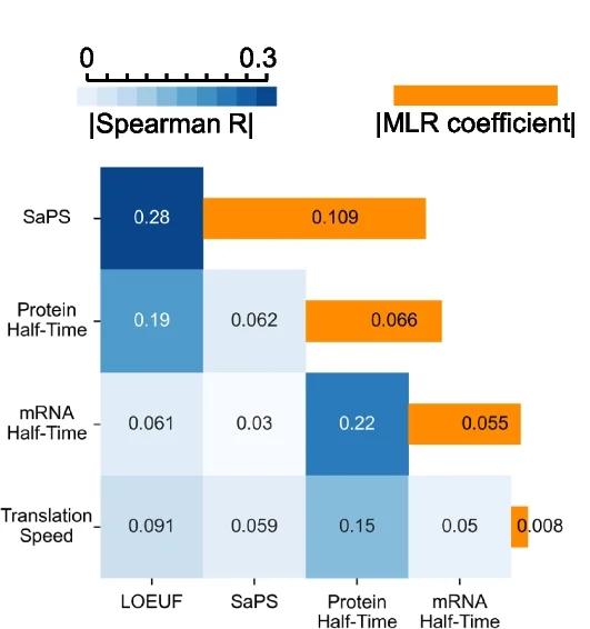 Open access visualization of Heatmap, Bar Plot, SaPS DM Score, Human Proteome, Gene Sets