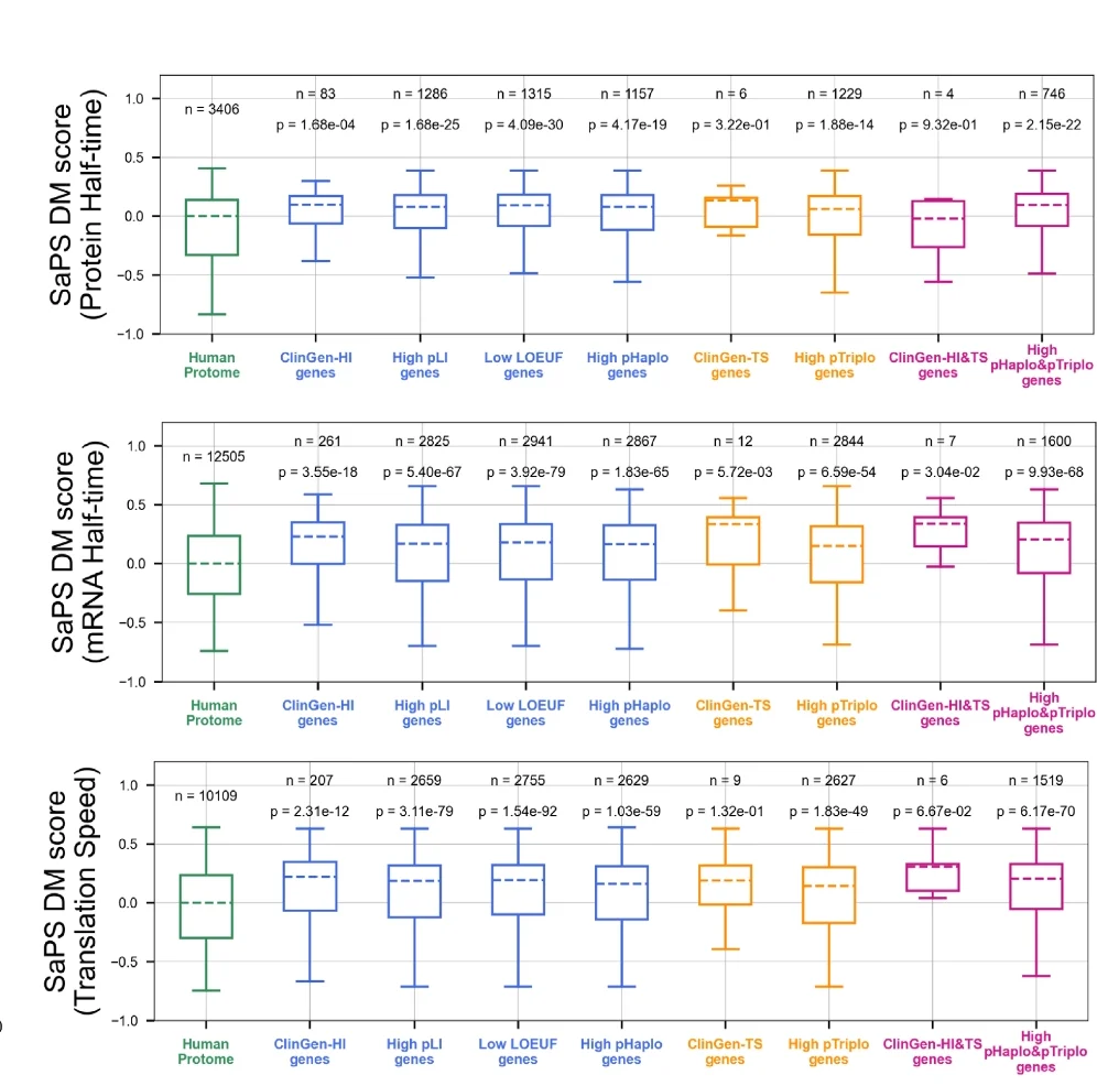 Open access visualization of Box Plot, Heatmap, Spearman Correlation Coefficient, LOEUF Score, Factors