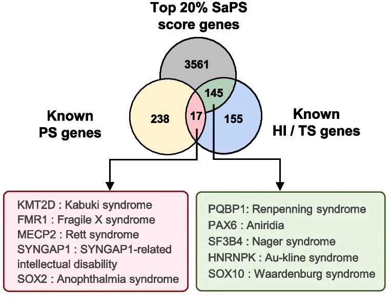 Open access visualization of Venn Diagram, Phase-Separating Proteins, SaPS Proteins, Haploinsufficiency, Triplosensitivity
