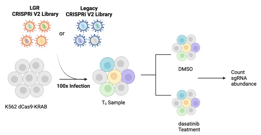 Open access visualization of Workflow, Flowchart, Dasatinib Survival Screen, LGR Library, Legacy Library