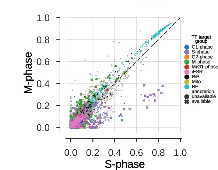 Open access visualization of Scatter Plot, Regression Plot, Contextual Network, GRNs, Cell Cycle