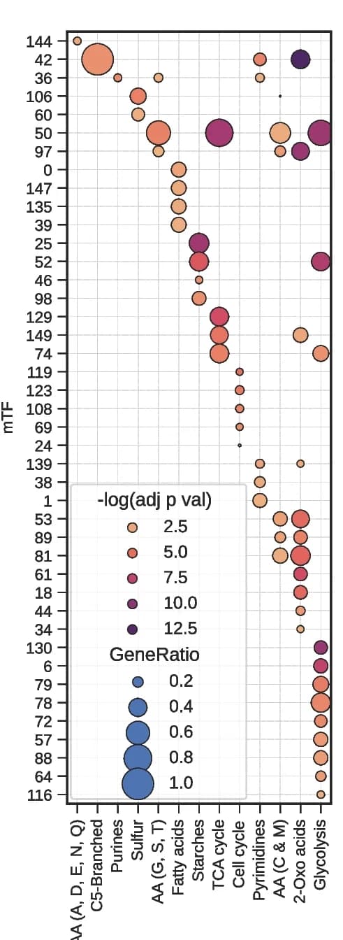 Open access visualization of Bubble Plot, Scatter Plot, Pathway Enrichment, Metabolic KEGG Pathway, Target Genes