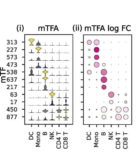 Open access visualization of Violin Plot, Bubble Plot, mTFs, Cell Type, Functional Enrichment