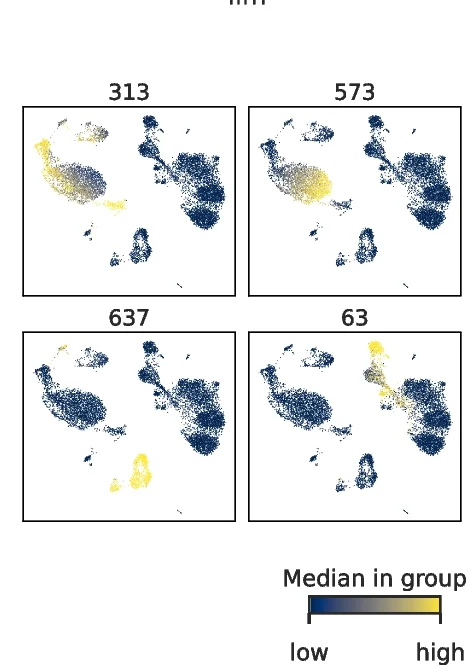 Open access visualization of Scatter Plot, UMAP, UMAP Projection, PBMCs, mTF Activation
