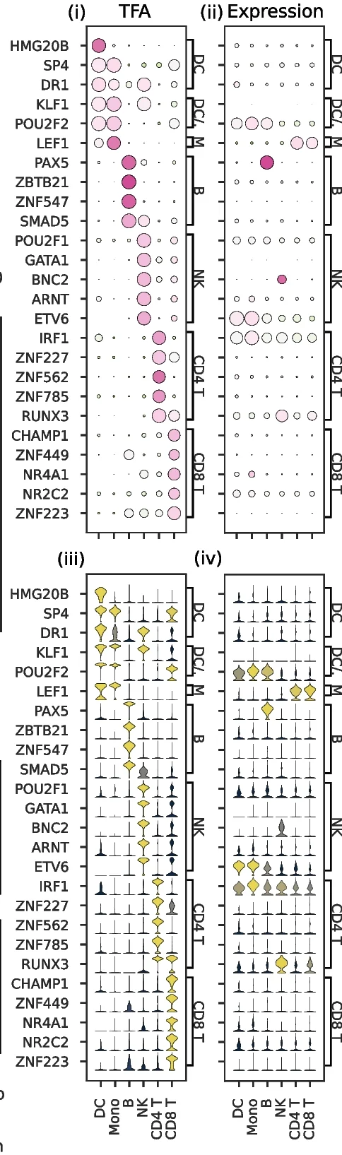 Open access visualization of Bubble Plot, Violin Plot, TF Activation, Cell Type Populations, Gene Expression