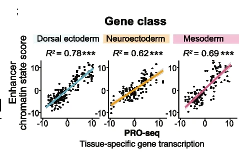 Open access visualization of Scatter Plot, Regression Plot, Correlations, Tissue-Specific Enhancer, Chromatin State