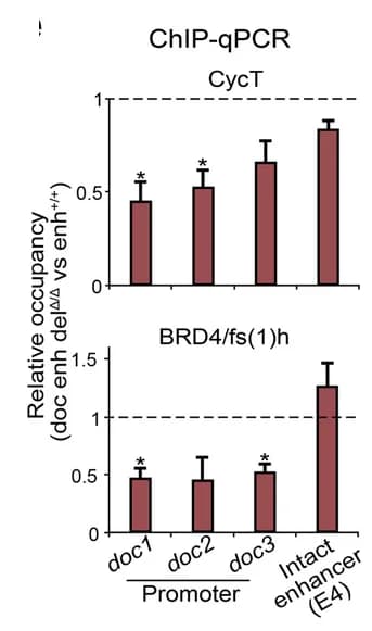 Open access visualization of Bar Plot, Error Bars, ChIP-qPCR, CycT, BRD4
