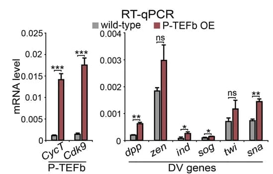 Open access visualization of Bar Plot, Error Bars, Clustered, RT-qPCR, CycT