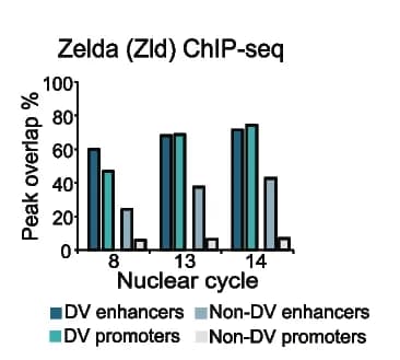 Open access visualization of Bar Plot, Clustered, DV Enhancers, Non-DV Enhancers, Promoters