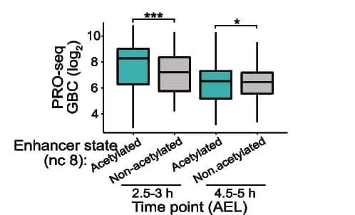 Open access visualization of Box Plot, Boxplots, PRO-seq, DV Genes, Enhancers