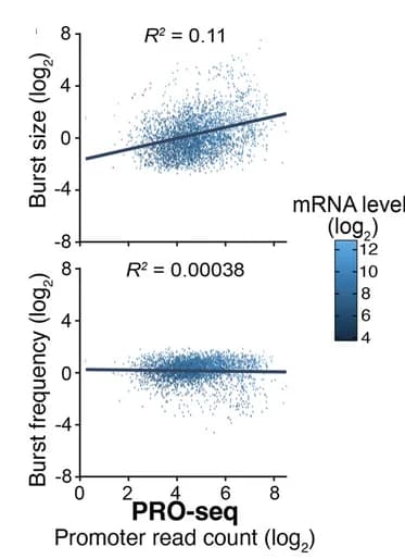 Open access visualization of Scatter Plot, Regression Plot, Transcriptional Kinetics, PRO-Seq, Promoter Read Counts