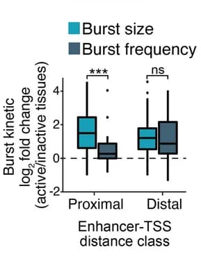 Open access visualization of Box Plot, Boxplots, Fold Change, Transcriptional Kinetics, Active Tissue