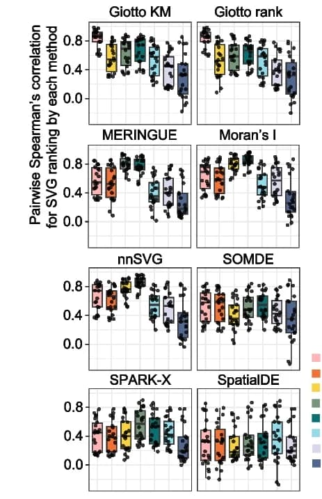 Open access visualization of Box Plot, Scatter Plot, SVG Detection Method, Spearman’s Correlation Coefficient, Boxplot