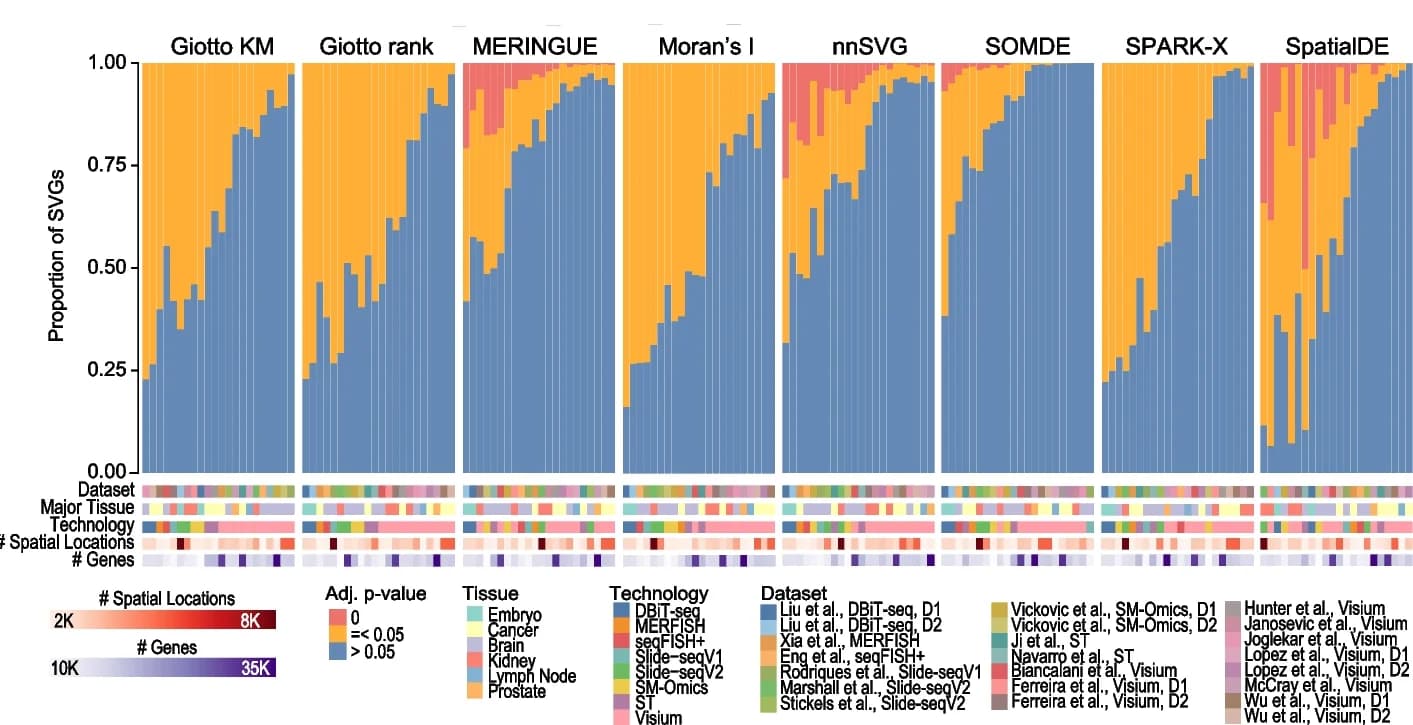 Open access visualization of Stacked Bar Plot, Heatmap, SVG Detection Method, Adjusted p-values, Spatial Dataset
