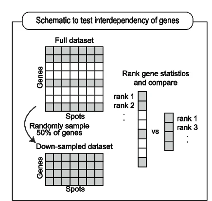 Open access visualization of Workflow, Experimental Approach, Gene Interdependency, SVG Statistics, Down-Sampling