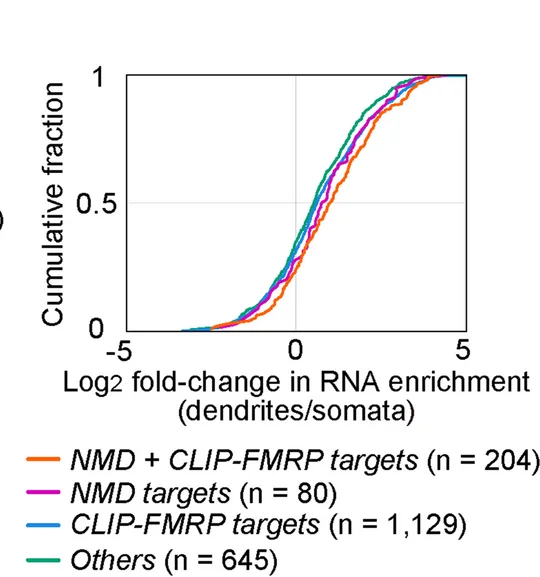 Open access visualization of Line Plot, Cumulative Fraction, RNA Enrichment, Axons, Somata