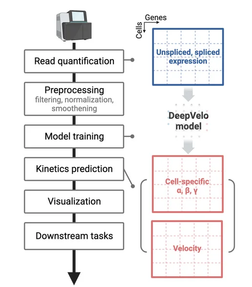 Open access visualization of Workflow, Heatmap, Velocity Analysis Pipeline, Preprocessing, Kinetic parameters