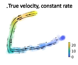 Open access visualization of Scatter Plot, Simulation, Time-Dependent Degradation Rates, Pseudotime, Reference Velocity