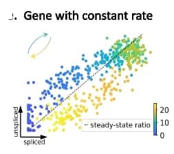 Open access visualization of Scatter Plot, Regression Plot, Degradation Rates, Phase Portraits