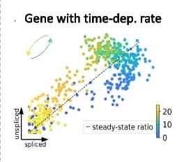 Open access visualization of Scatter Plot, Regression Plot, Degradation Rates, Phase Portraits, Time-Dependent Rate