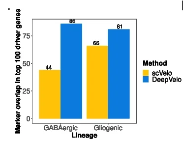Open access visualization of Bar Plot, Clustered, Driver Genes, scVelo, DeepVelo