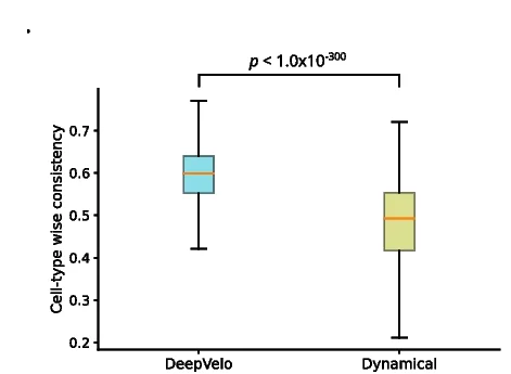 Open access visualization of Box Plot, RNA Velocity, Consistency, Cell Type, DeepVelo Model