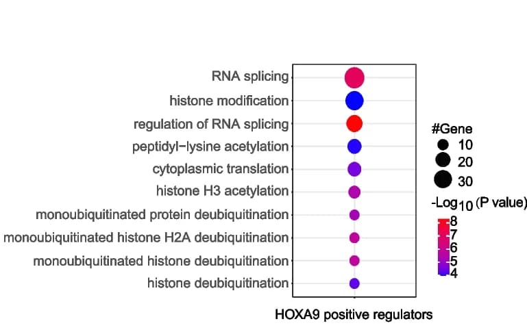 Open access visualization of Bubble Plot, Scatter Plot, Gene Ontology, GO Analysis, Gene Regulation