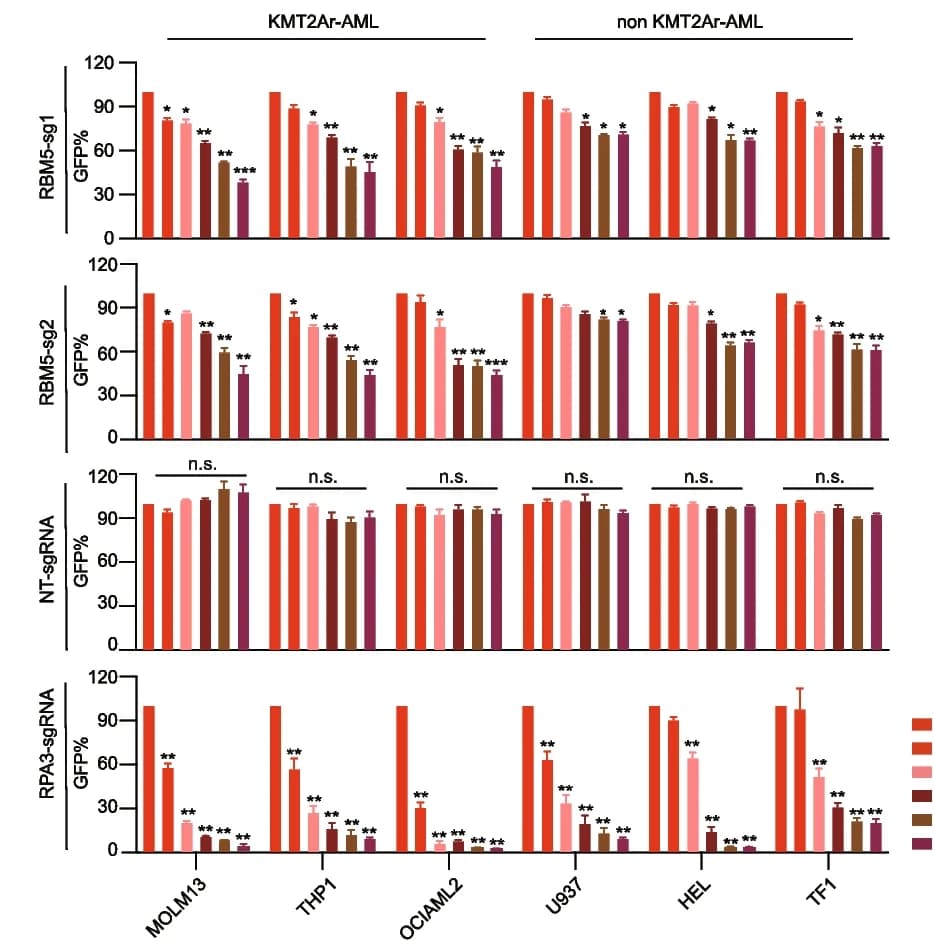 Open access visualization of Bar Plot, Error Bars, Clustered, Competitive Proliferation Assay, AML Cell Lines