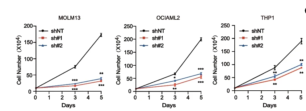 Open access visualization of Line Plot, Error Bars, Cell Counting Assay, MOLM13 Cells, OCIAML2 Cells