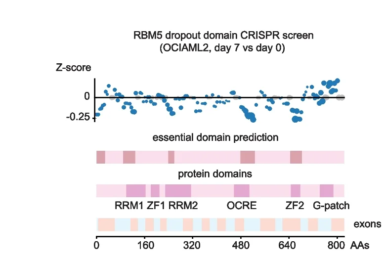 Open access visualization of Scatter Plot, Illustration, CRISPR Dropout Screen, sgRNAs, RBM5 Exons