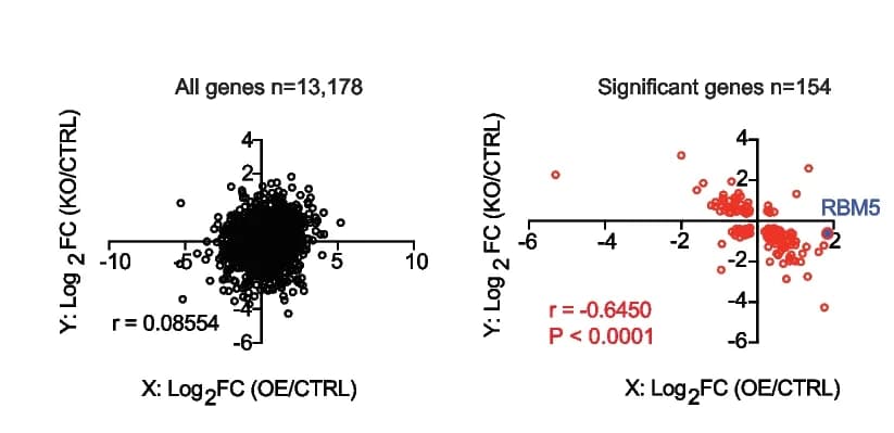 Open access visualization of Scatter Plot, Regression Plot, Transcriptome Analysis, MOLM13 Cells, Control Group