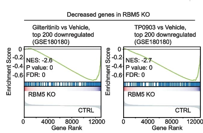 Open access visualization of Line Plot, Density Plot, Leading Edge Plot, Gene Enrichment Analysis, GSEA