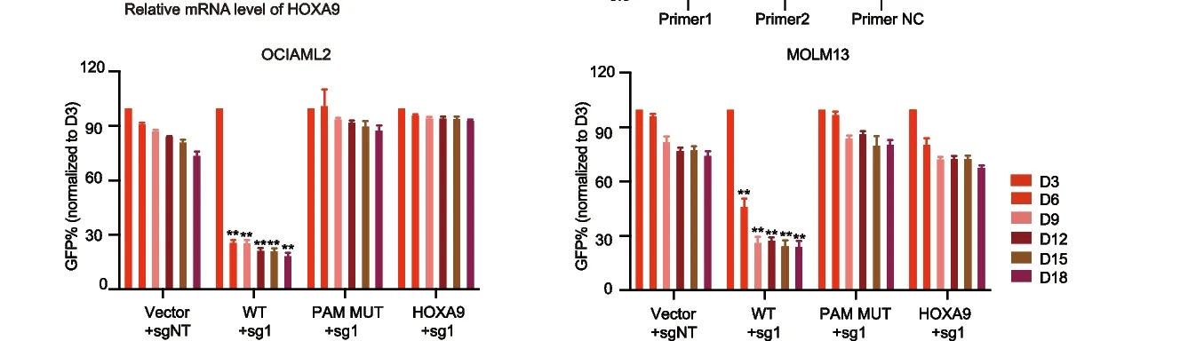 Open access visualization of Bar Plot, Error Bars, Competitive Proliferation Assay, OCIAML2-Cas9 Cells, MOLM13-Cas9 Cells